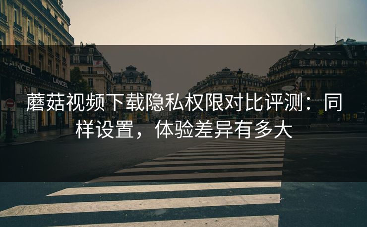 蘑菇视频下载隐私权限对比评测：同样设置，体验差异有多大