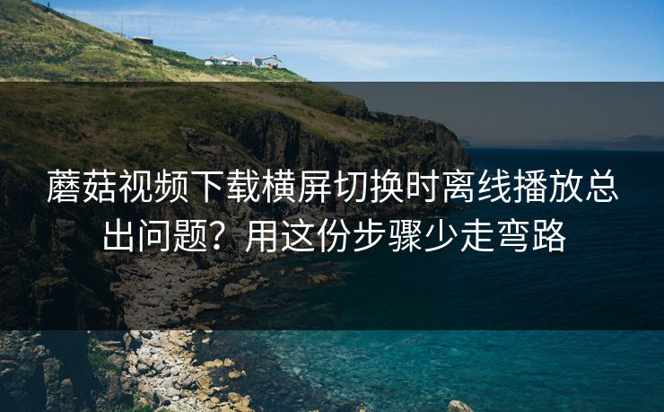 蘑菇视频下载横屏切换时离线播放总出问题？用这份步骤少走弯路